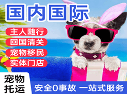 九寨黄龙空运国际宠物托运 【国